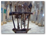 Stelle Cadenti - Capranica - Mario Palmieri
